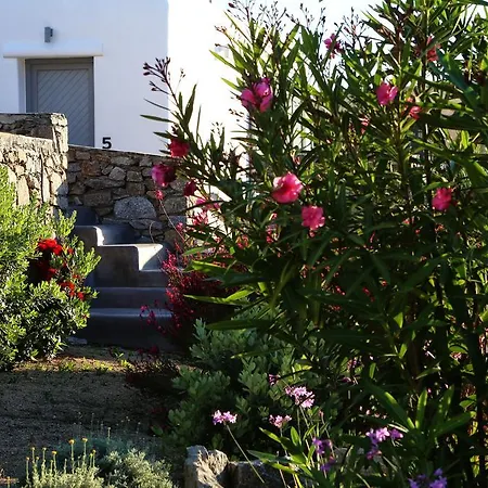 호텔 Aelia Mykonos 4*