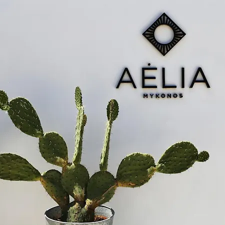 호텔 Aelia Mykonos 4*