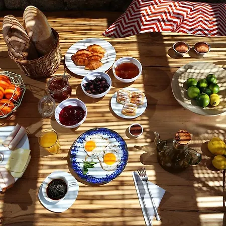 Aelia Mykonos 오르노스