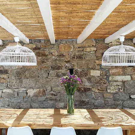 Aelia Mykonos 오르노스