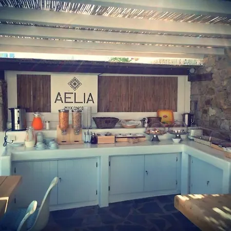 Aelia Mykonos 호텔 4*
