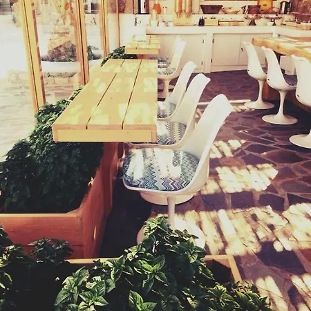 Aelia Mykonos