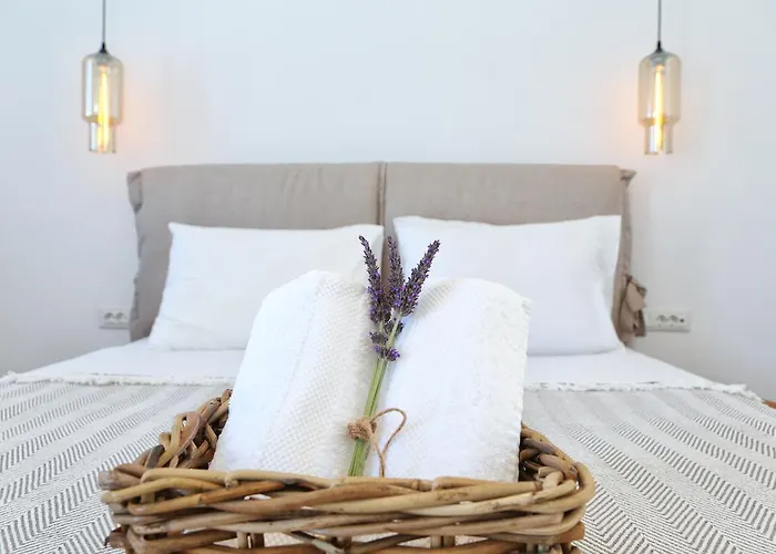 Aelia Mykonos Ornos (Mykonos)