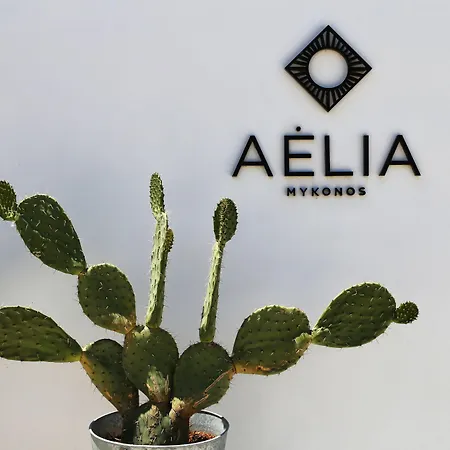 ホテル Aelia Mykonos 4*