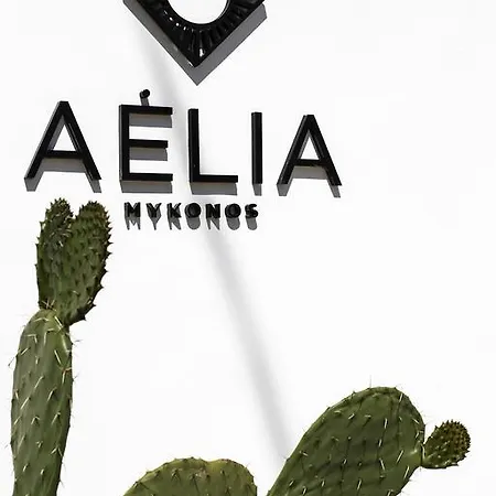 Aelia Mykonos オルノス