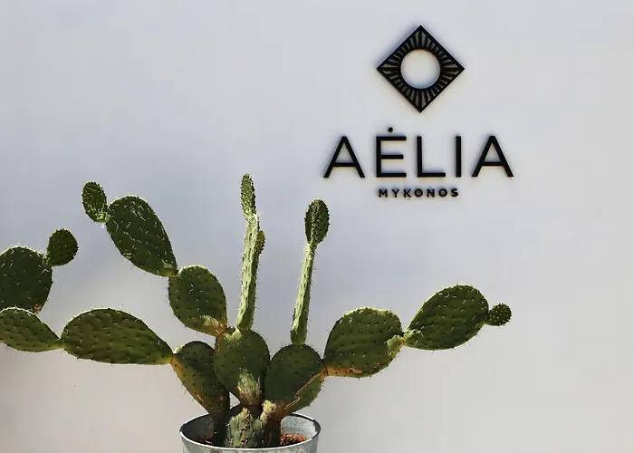 Hotel Aelia Mykonos 4*