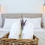 Aelia Mykonos 오르노스